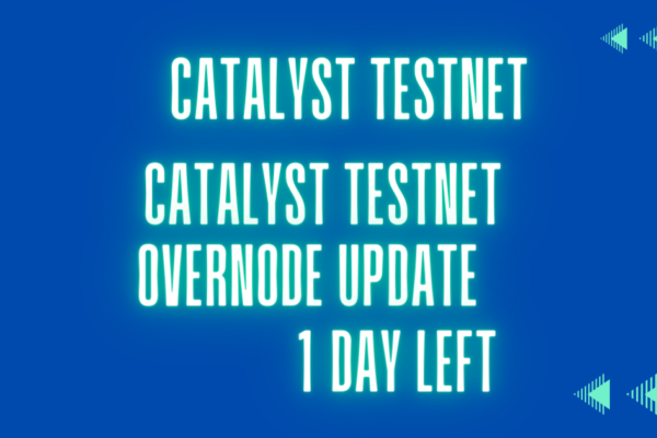 Catalyst Testnet