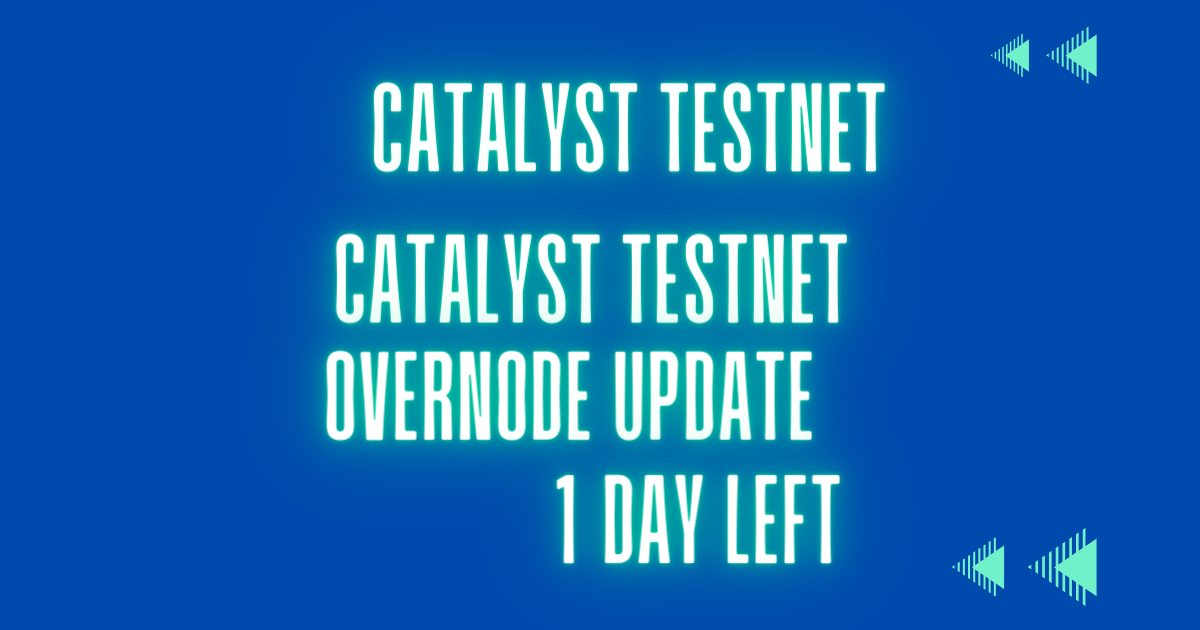 Catalyst Testnet