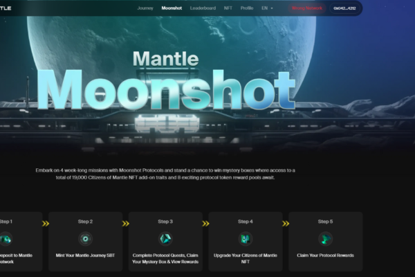 mantle moonshot