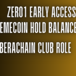 Zero1 Early Access